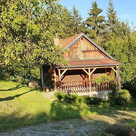 Hiska Ob Gozdu Villa Polzela Exterior photo